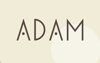 机器人亚当的冒险 多多运动防生锈