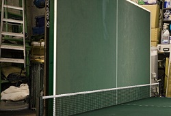  指尖乒乓球手游测评 你打球的侧面蛮好看 