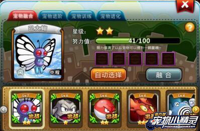 《宠物小精灵官方版》训练师成长攻略