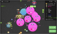 梦幻诛仙手游合欢怎么玩 诛仙手游合欢攻略大全