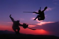  《新葵花宝典》论剑沙龙 高端比武擂台等你来战 