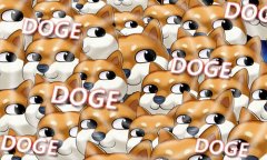  《十冷2》第三个按钮：托尔来了！我是雷神托尔 